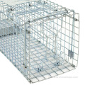 Collapsible Squirrel Trap Cage Animal Large Cage Catcher Cold galvanized Catch Factory